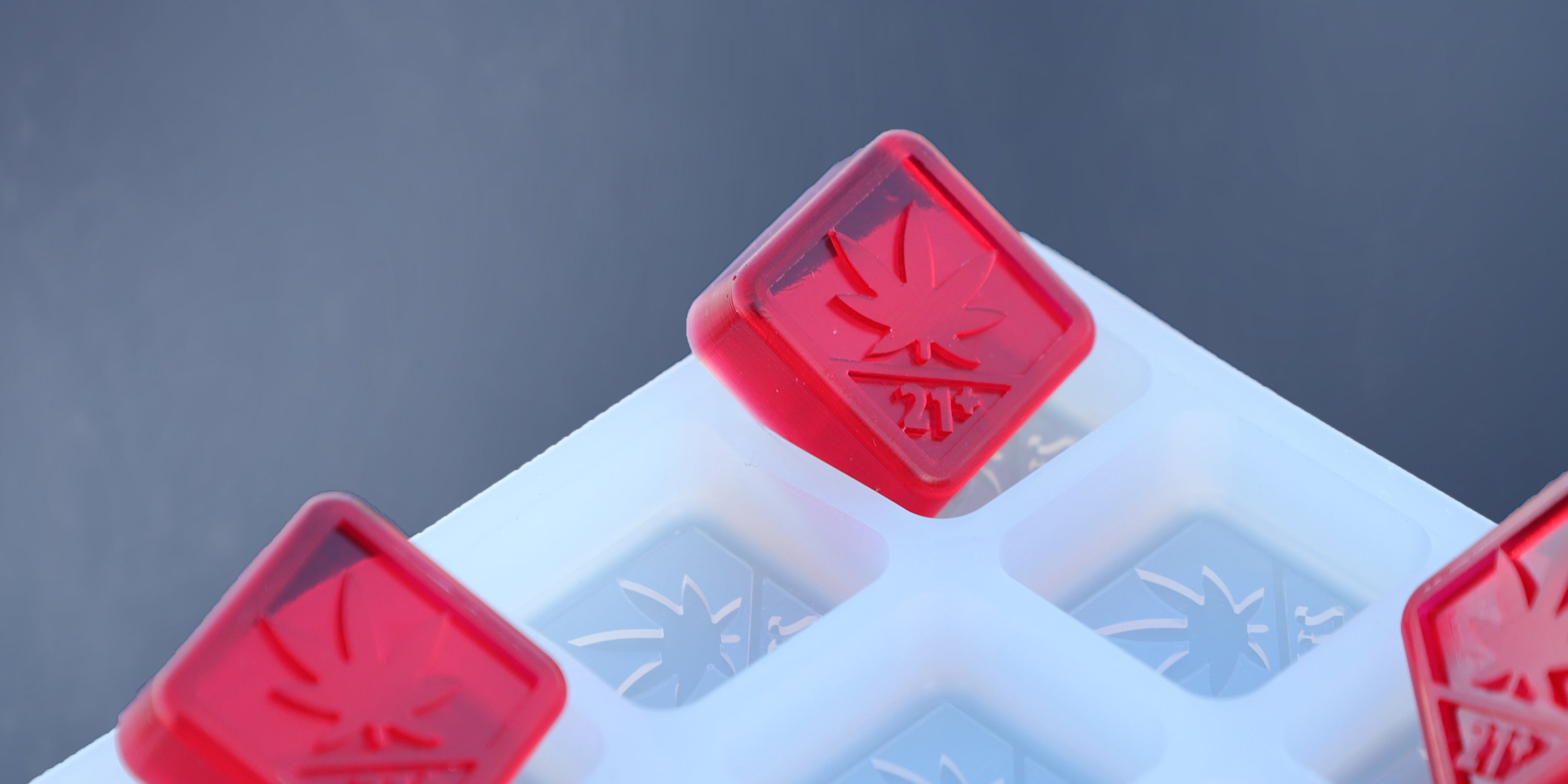 Washington THC Logo Molds for Gummy & Chocolate Edibles