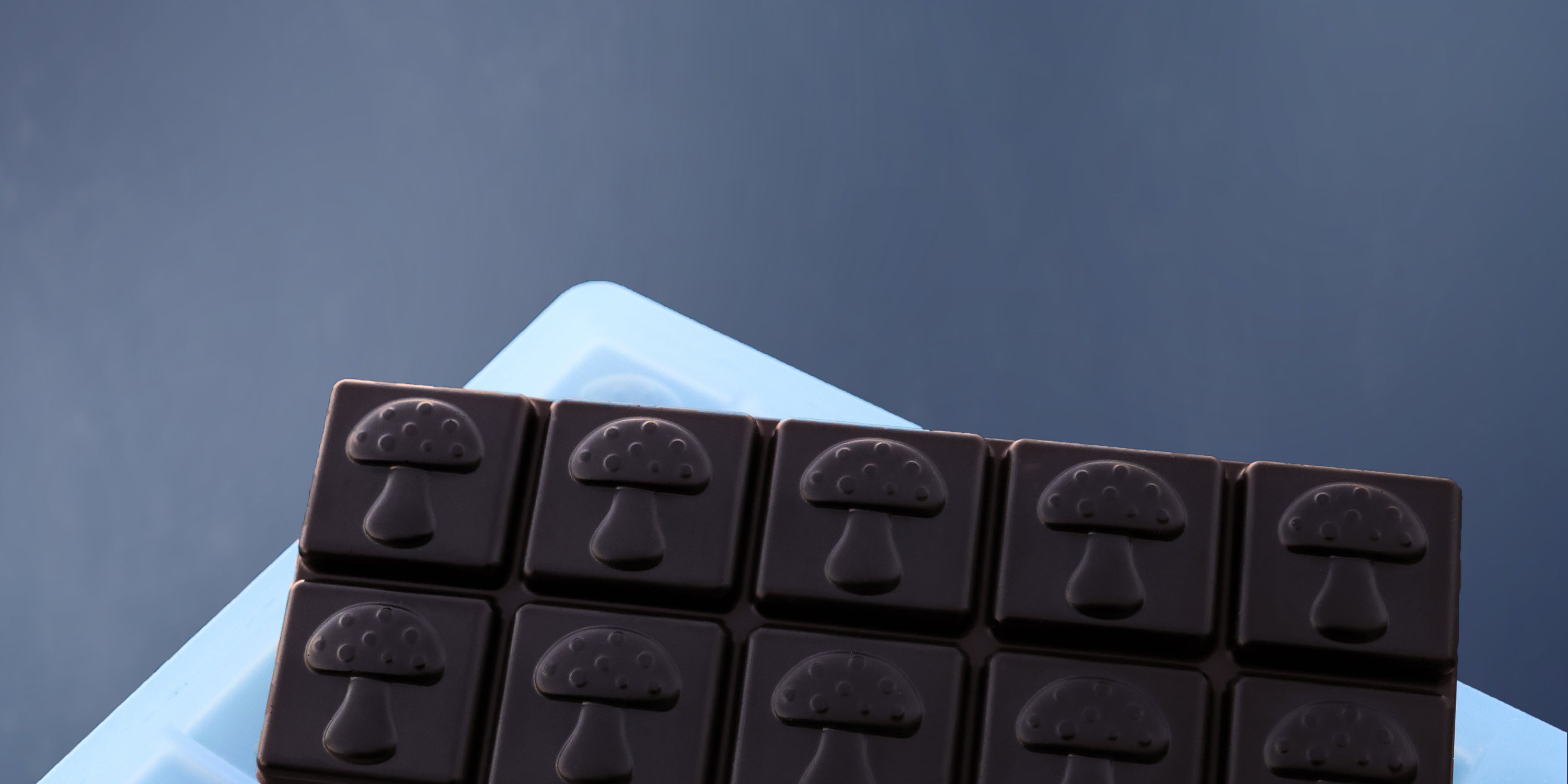 Quarter Sheet Gummy Molds