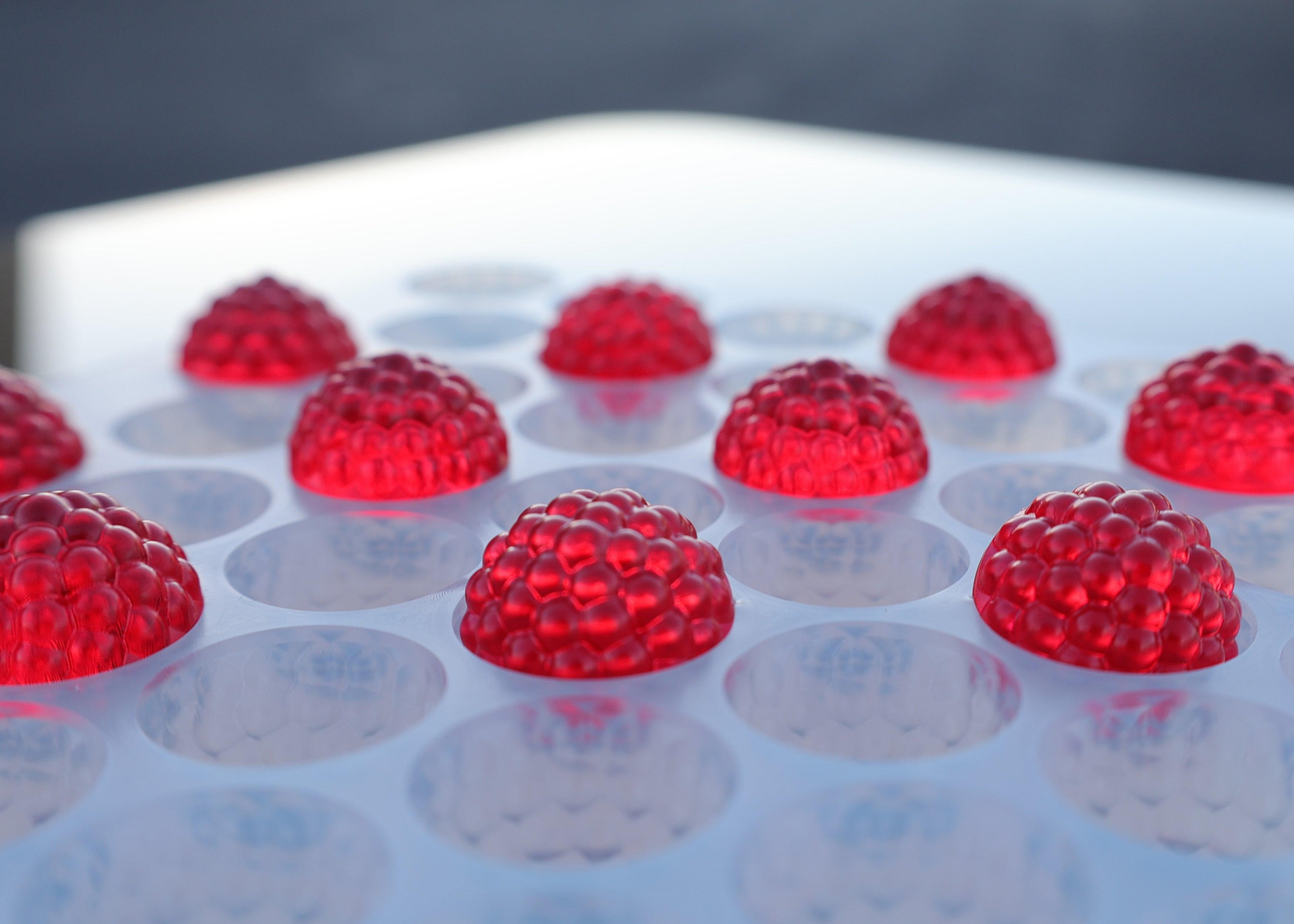 2.3 mL - Raspberry mold - Quarter Sheet - 113 Cavities