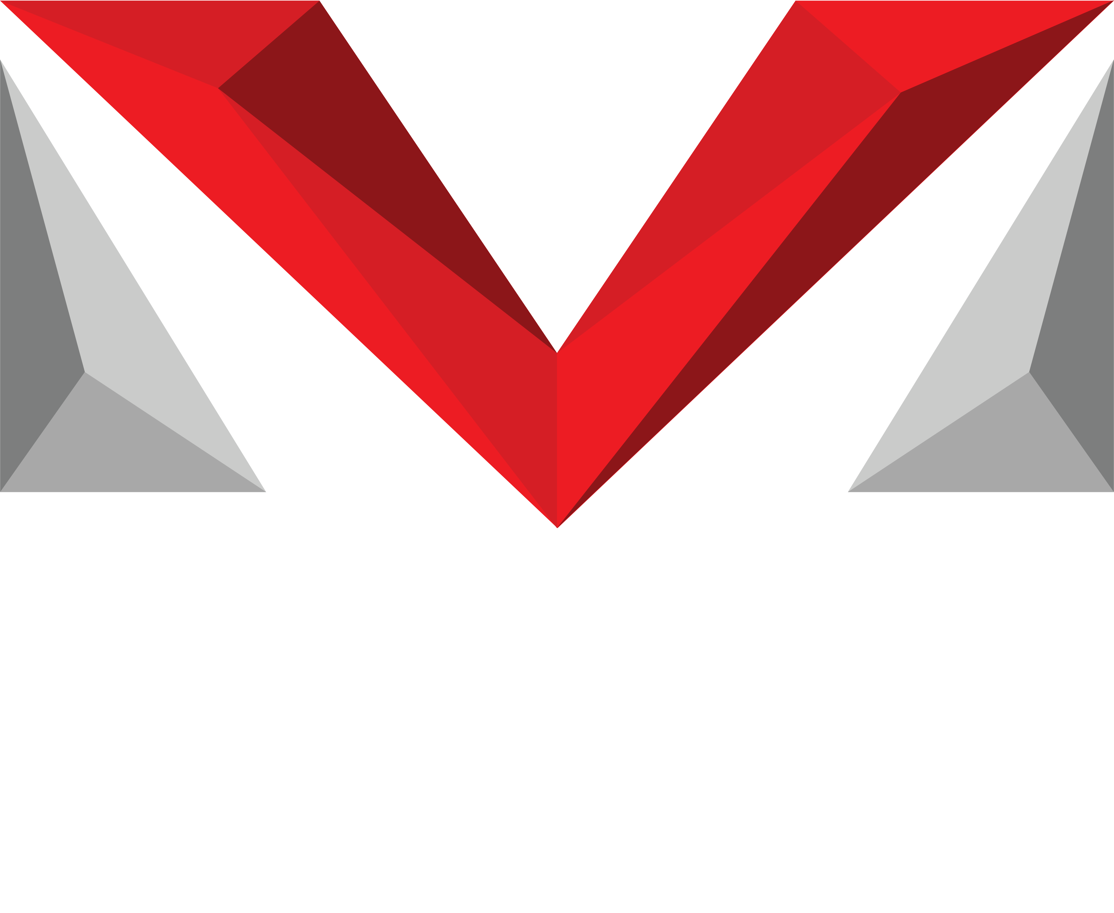 Vector Molds logo