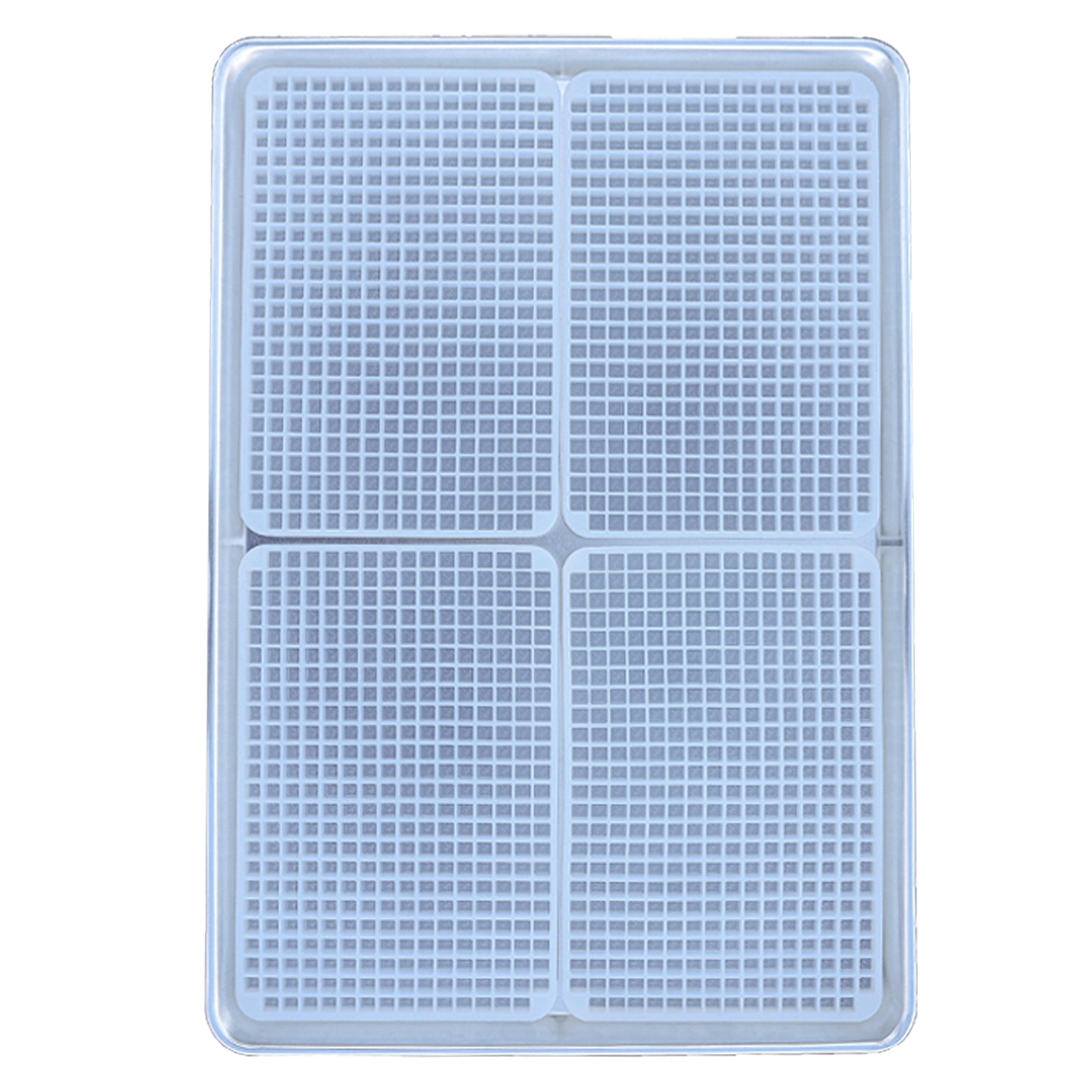A rectangular white plastic grid tray with four sections, each divided into small square compartments, viewed from above.