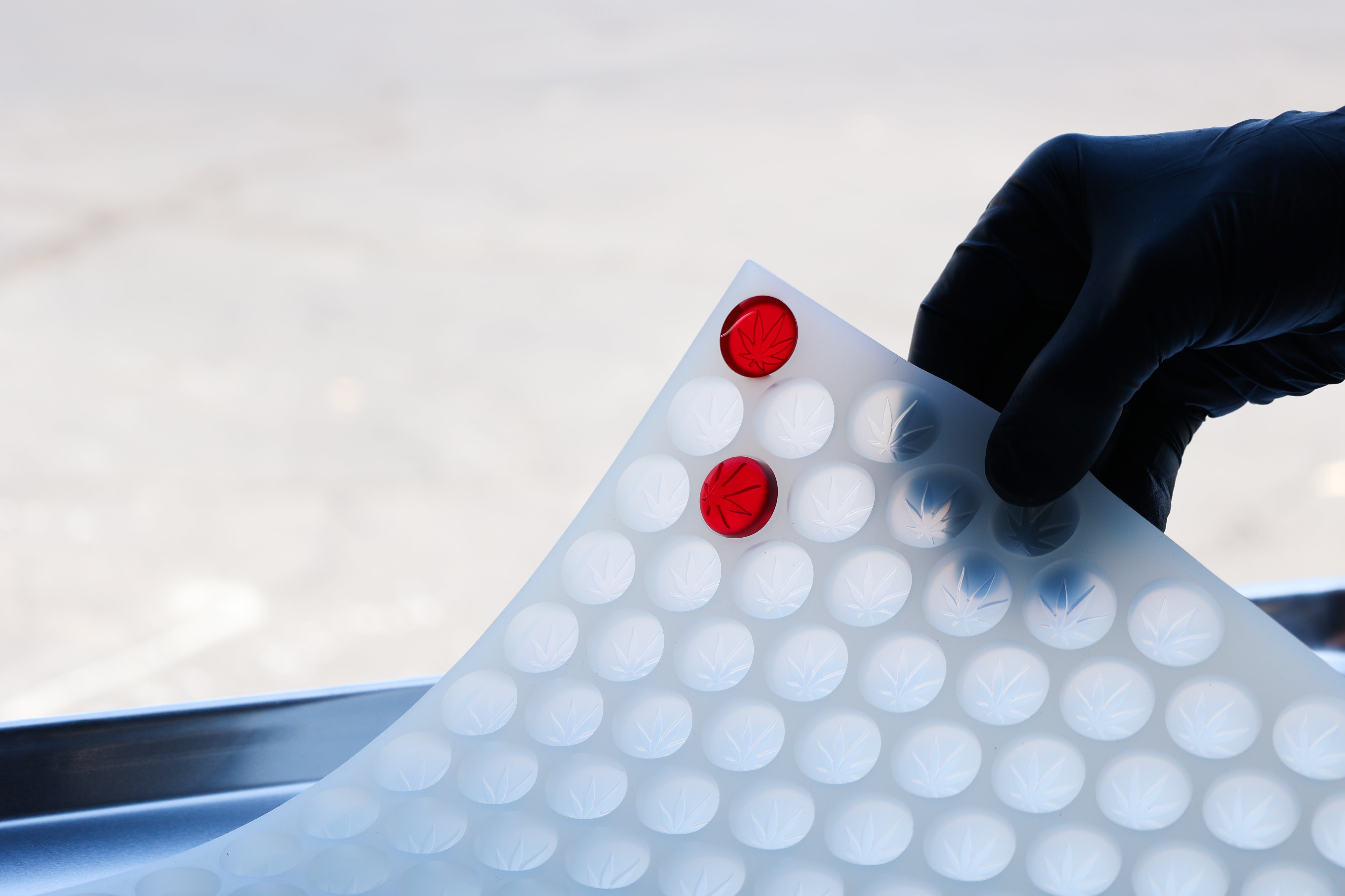Platinum Silicone Molds: A Comprehensive Guide